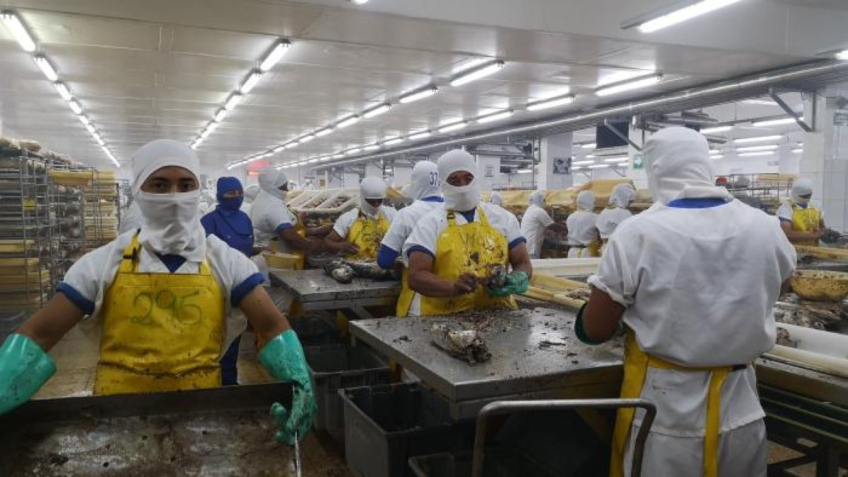 Hasta el mes de estudio, 314.988 personas estaban sin trabajo en el país.