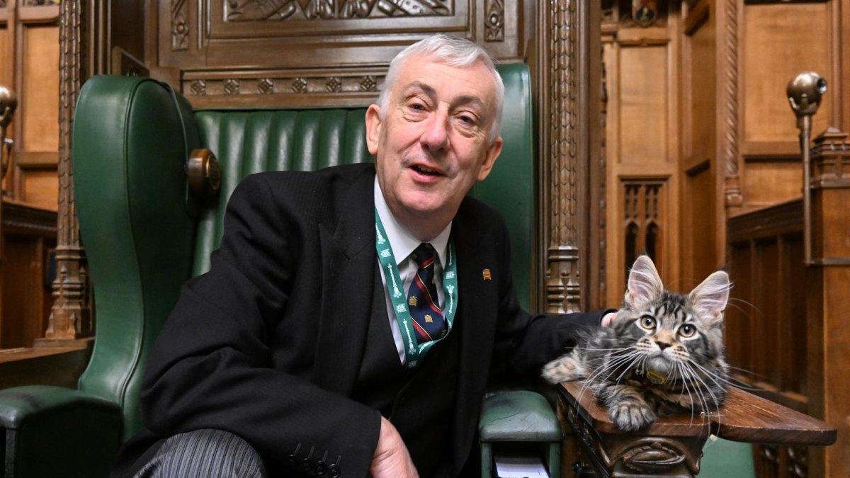 Sir Lindsay Hoyle y el gato Attlee en la silla del presidente de la Cámara de los Comunes.