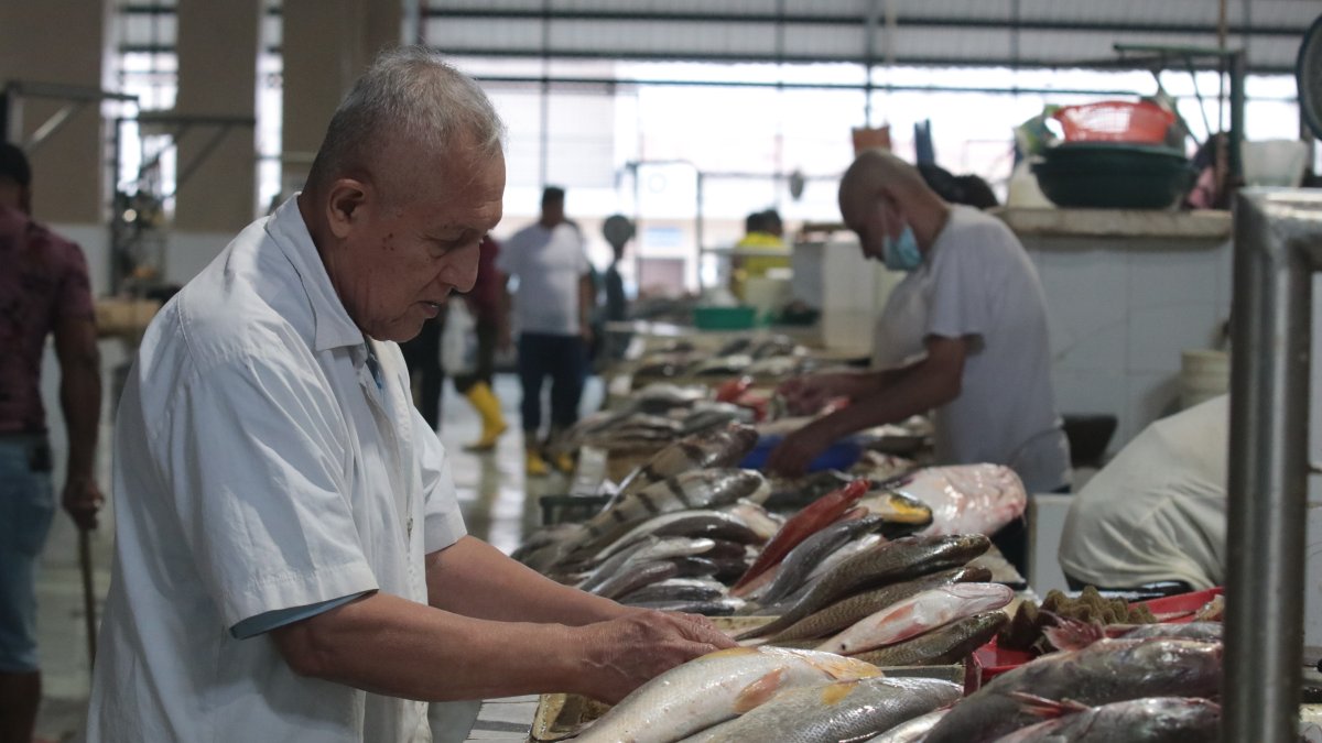Plaza. En el mercado municipal de la Caraguay los mariscos no se han encarecido y la oferta es abundante.