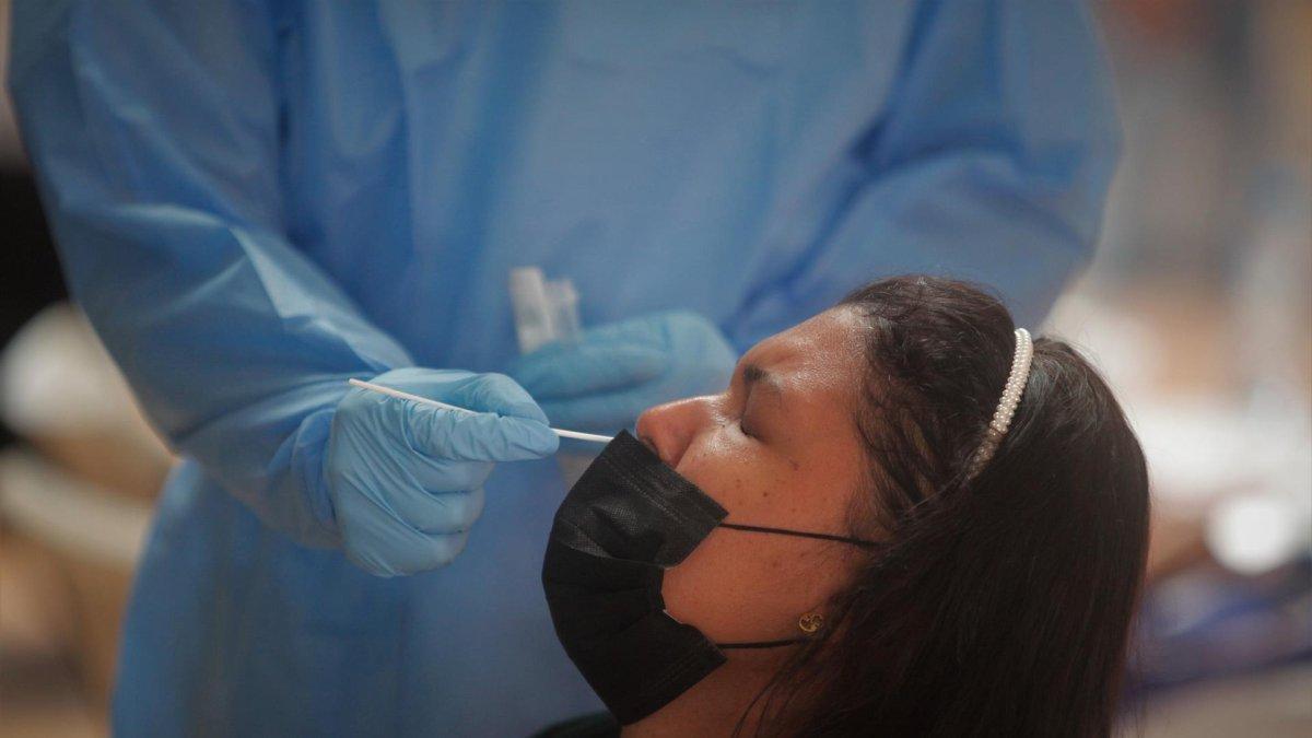 Así lo indicó este lunes el jefe de la división para América Latina y el Caribe de la Organización para la Cooperación y el Desarrollo Económicos (OCDE)