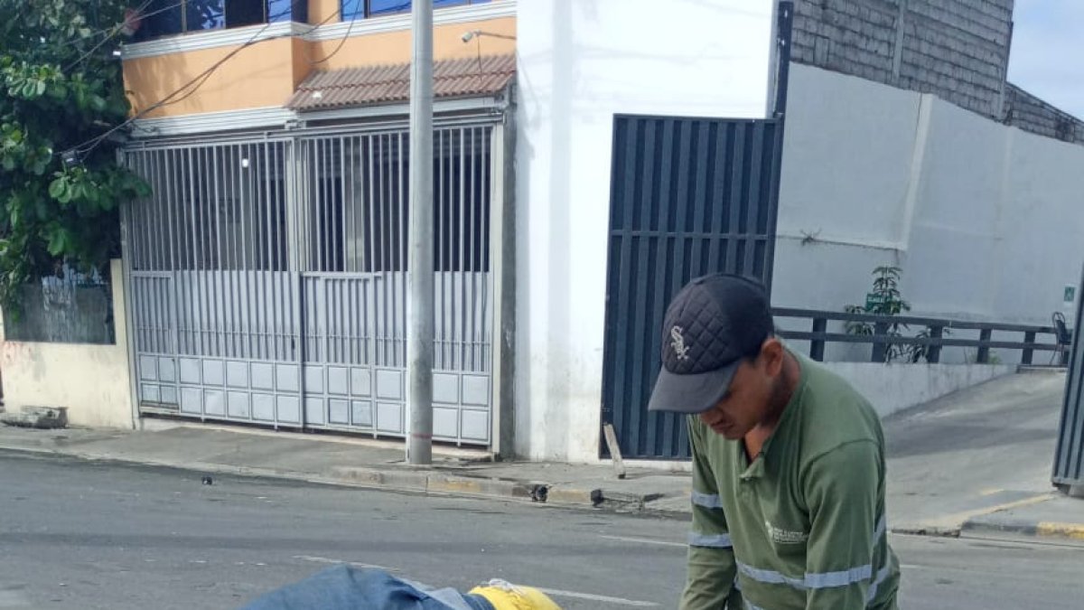 Trabajos. Se realizó la limpieza de algunos de los espacios para la futura siembra.
