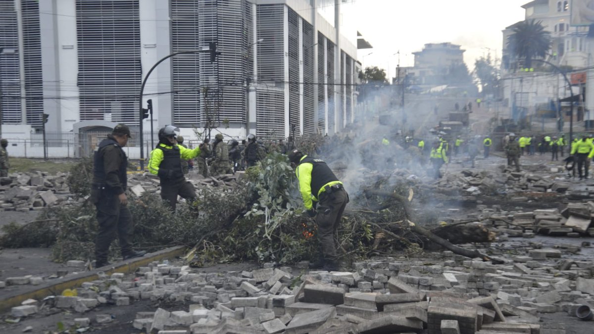 Manifestaciones. Los daños en los parques y calles dejaron perdias por 800.000 dólares.