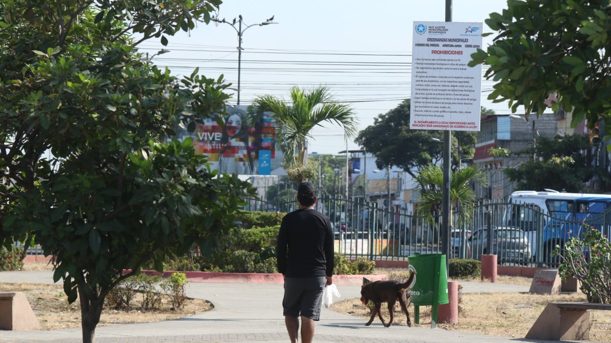 Mascotas. En parques cerrados o abiertos, el excremento de mascotas es lo que más se observa. Pocos llevan fundas para recoger las heces.