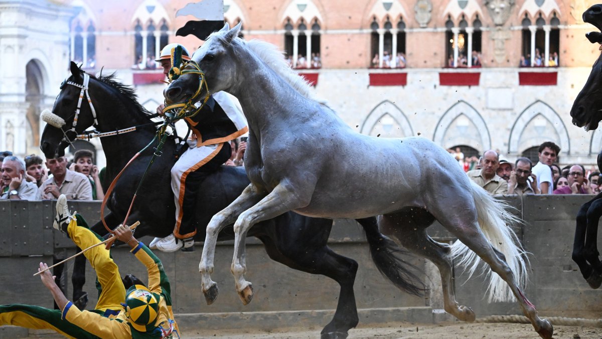 El jinete italiano Stefano Piras cae durante un falso comienzo de su caballo 'Uragano Rosso' durante la histórica carrera de caballos italiana Palio di Siena, en Siena,I