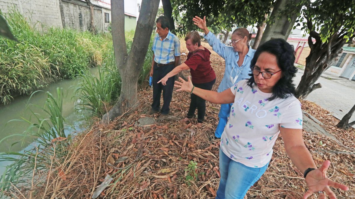 El canal 31 cada vez aumenta su diámetro y causa daños a las paredes posteriores de las viviendas que colindan con este. Además, es un foco de insalubridad para los residentes.