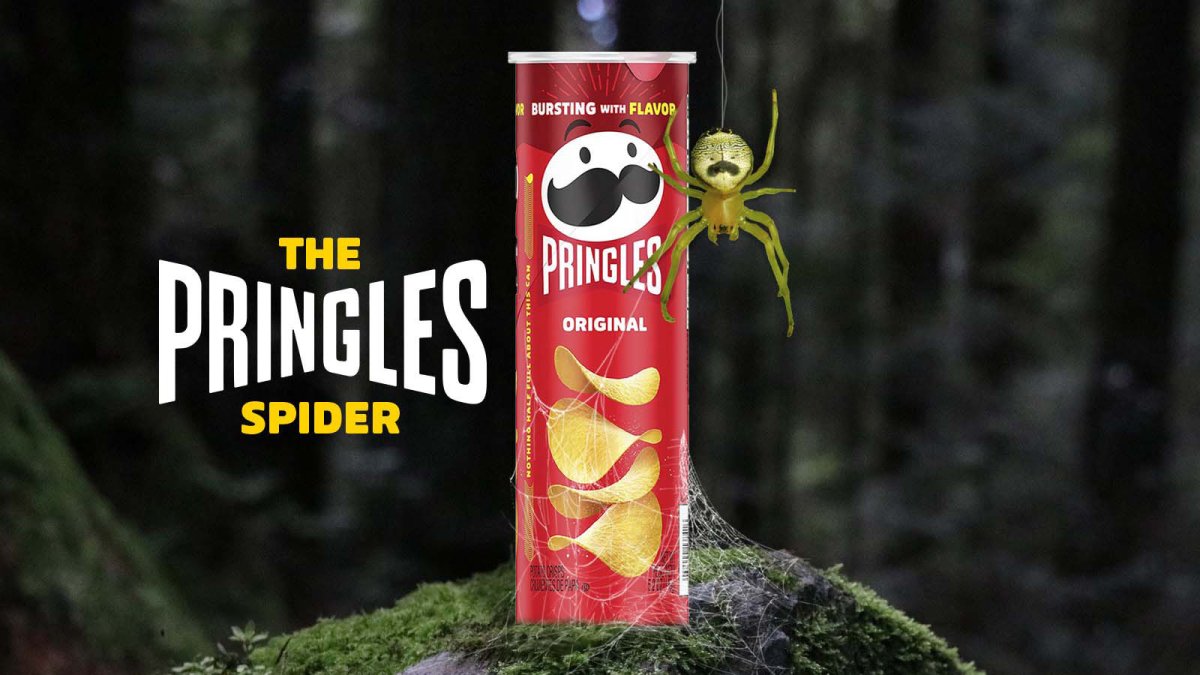 Imagen cedida hoy por Pringles que ilustra la iniciativa que lanzó a través de internet para que una araña sea bautizada con el nombre de este aperitivo.