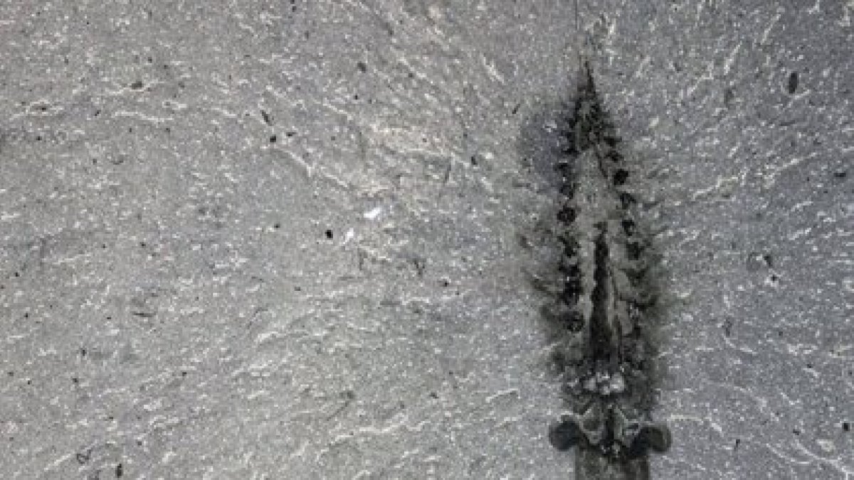 Espécimen fósil de Stanleycaris hirpex. El material oscuro del interior de la cabeza son restos de tejido nervioso.
Nuevos fósiles con huellas del cerebro y el sistema nervioso de un depredador marino de 500 millones de años determinan la necesidad de replantear la evolución de insectos y arañas.

POLITICA INVESTIGACIÓN Y TECNOLOGÍA
ROYAL ONTARIUM MUSEUM