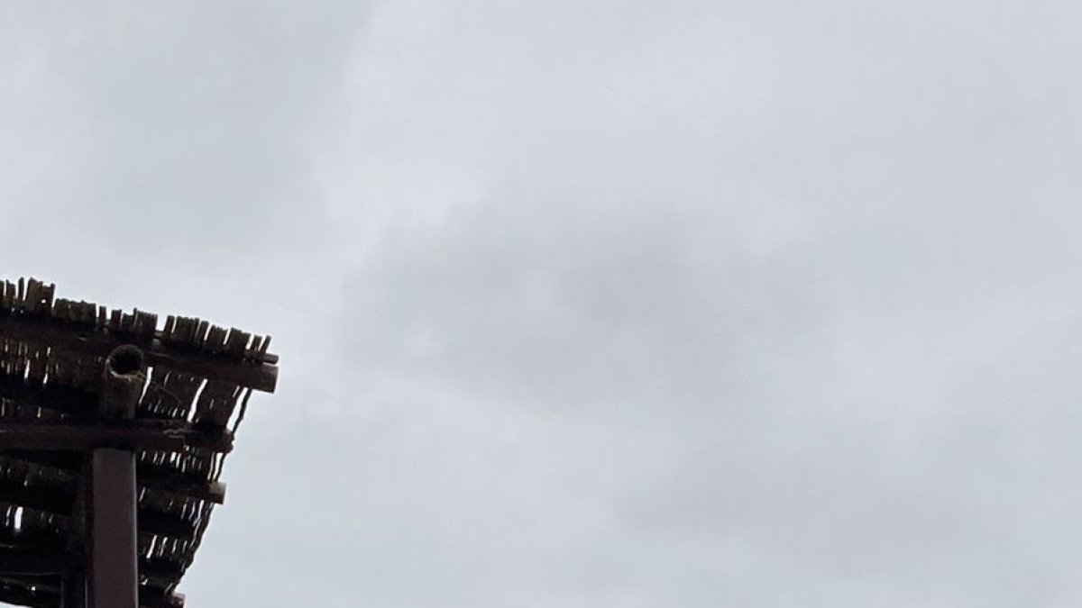 Los cabos en la playa, son los mayores problemas en el mar, que causa hasta la muerte de especies.
