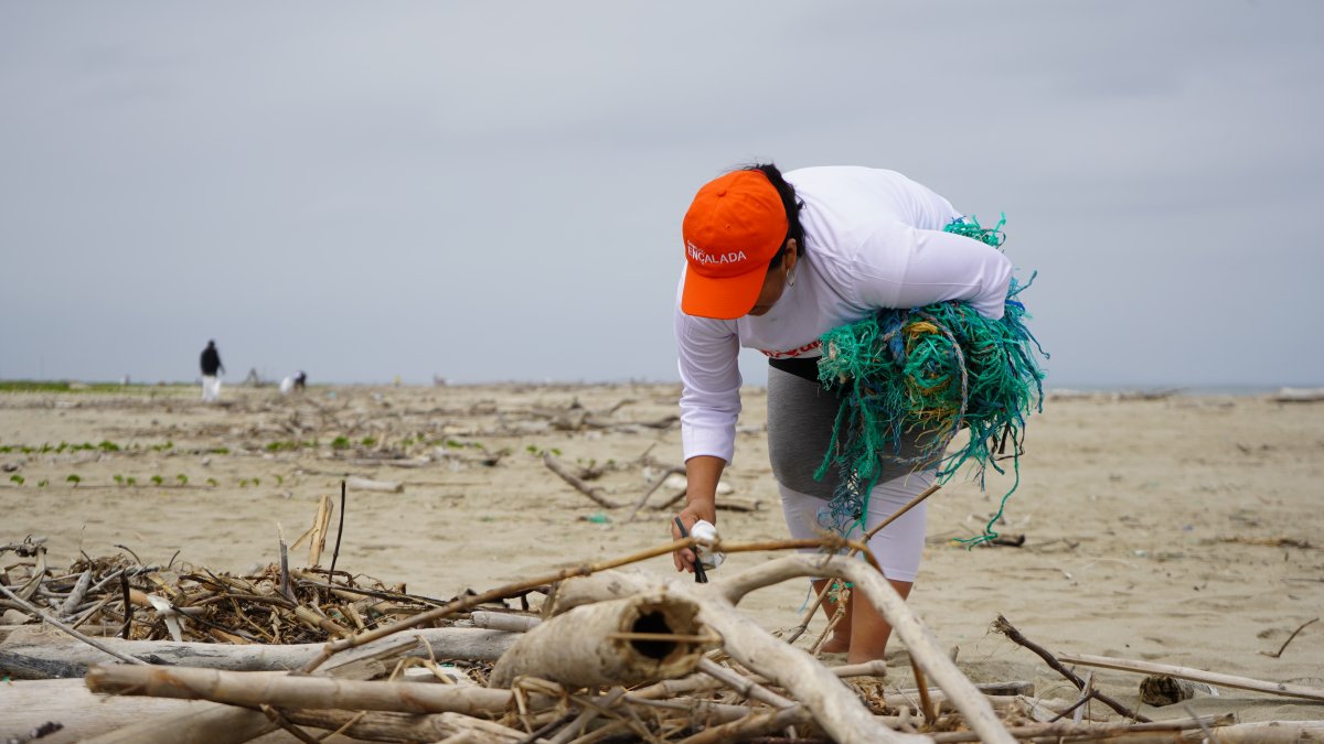 Palos y redes fue lo que más se sacó del mar el pasado domingo.