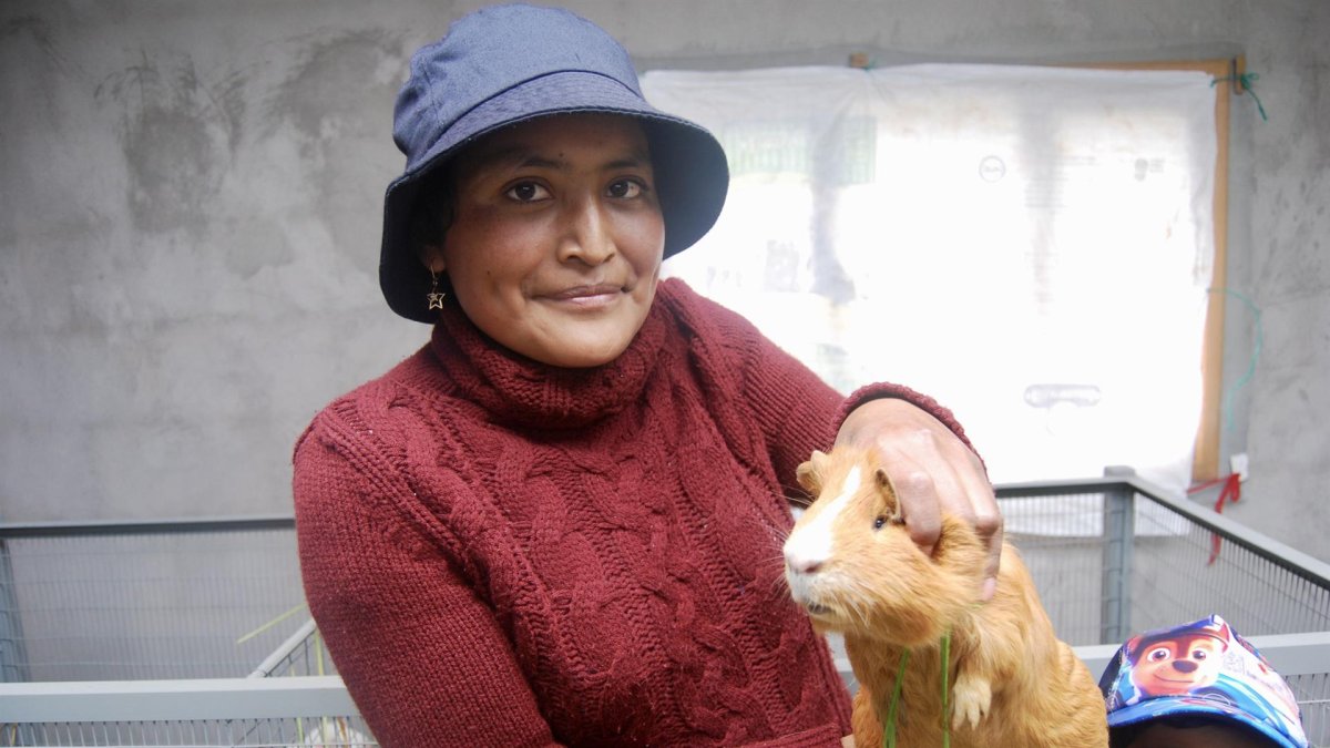 Ana Gabriela Guaján posa con un cuy en un criadero que ha construido como beneficiaria del programa de retorno productivo voluntario, el 10 de junio de 2022 en Cayambe (Ecuador).