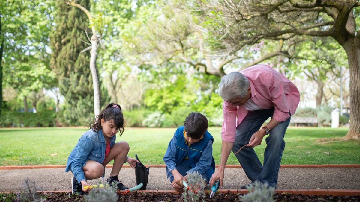 Herencia. La descendencia de los centenarios es menos frágil que la de los no centenarios de la misma edad. Así lo determina un estudio.