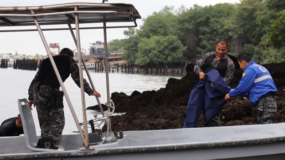 Búsqueda. El hallazgo se dio la mañana de este martes 12 de julio, cerca de la 40 y Portete.