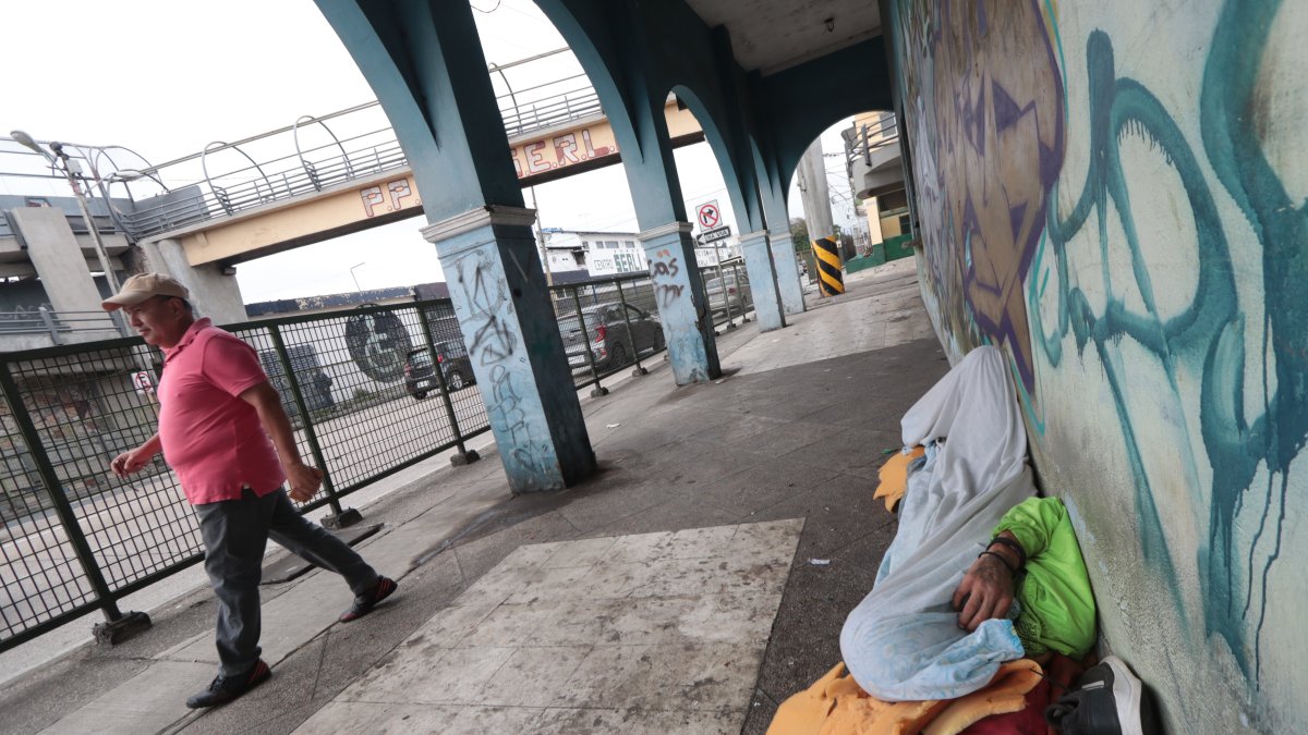 Hecho. Quienes viven en el puente o cerca de este, han roto, robado o garabateado el entorno, incluidas las casas.