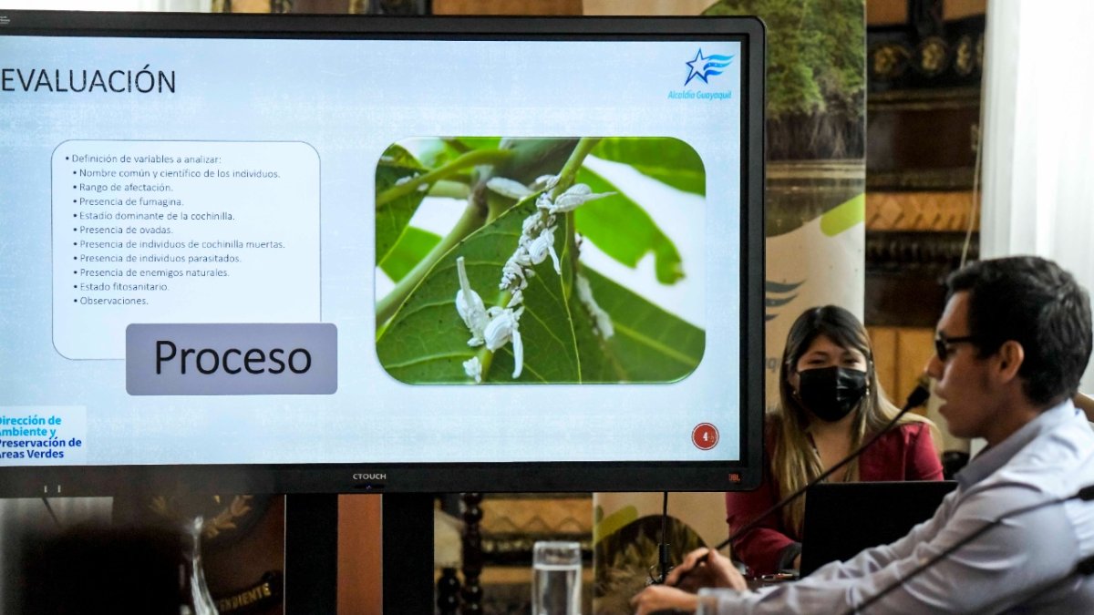 Durante la jornada se analizaron las medidas que urgen para afrontar el problema.