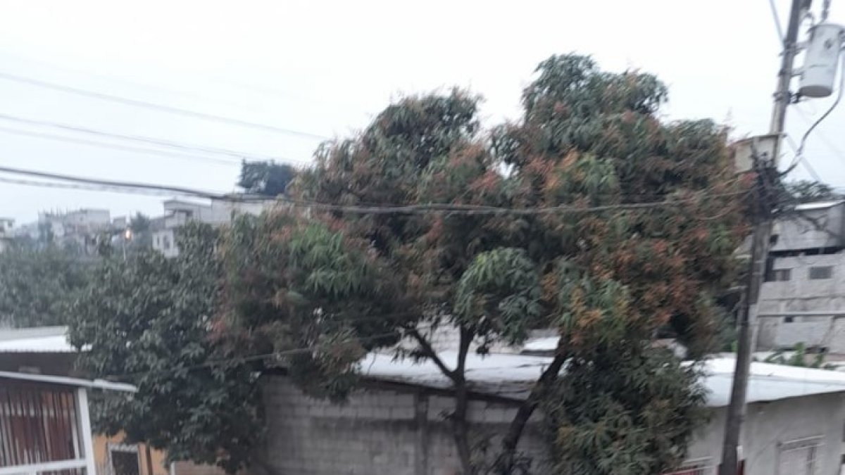 Anuncio. El Municipio informó de estos casos.