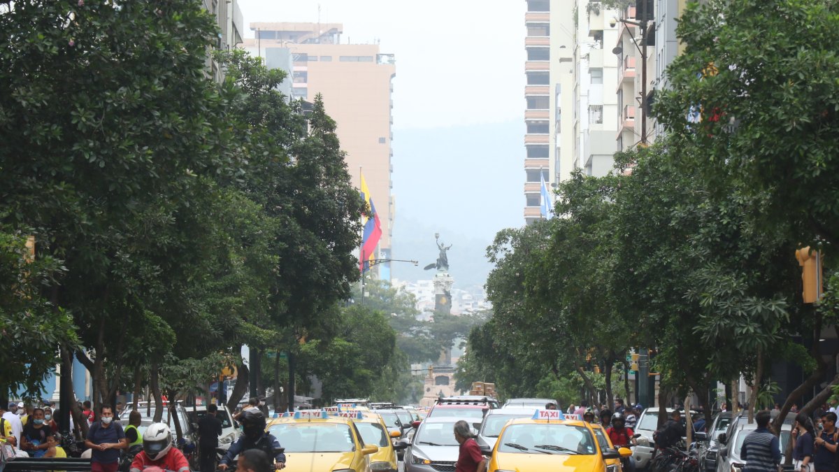 1. En el día. El intenso tráfico vehicular complica la libre circulación de los peatones, que sortean los vehículos a gran velocidad. Los árboles necesitan ser podados.
