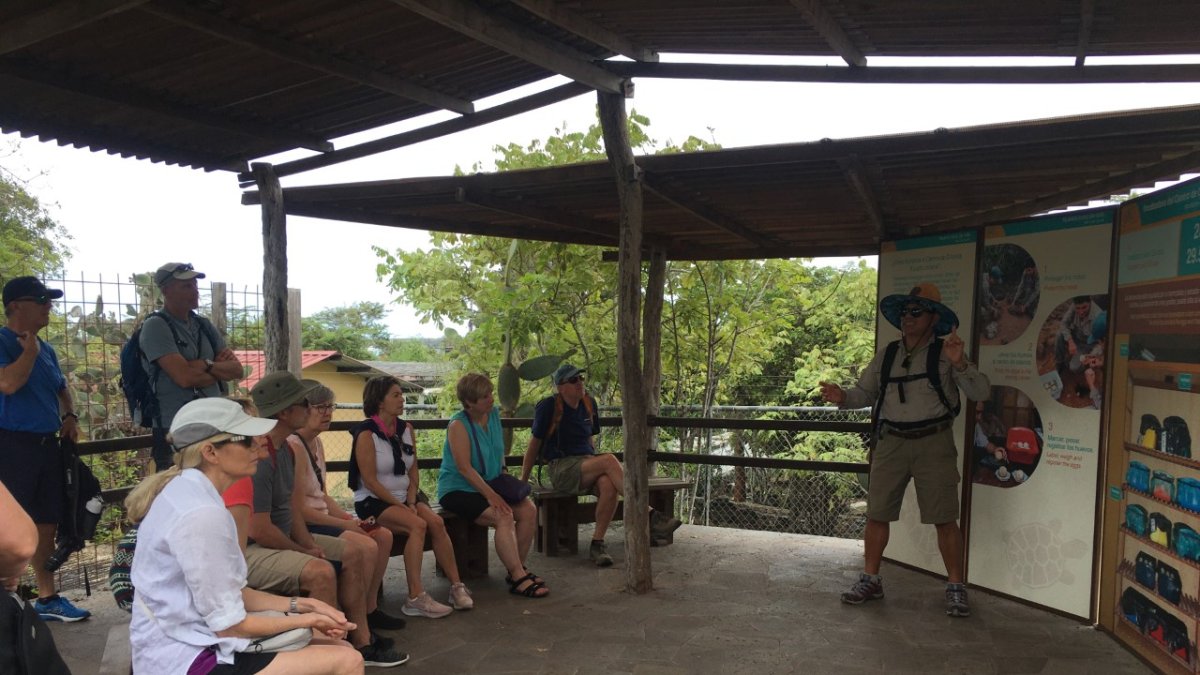 Referencia. Los viajeros tendrán que presentar uno de los requisitos en su arribo al país.