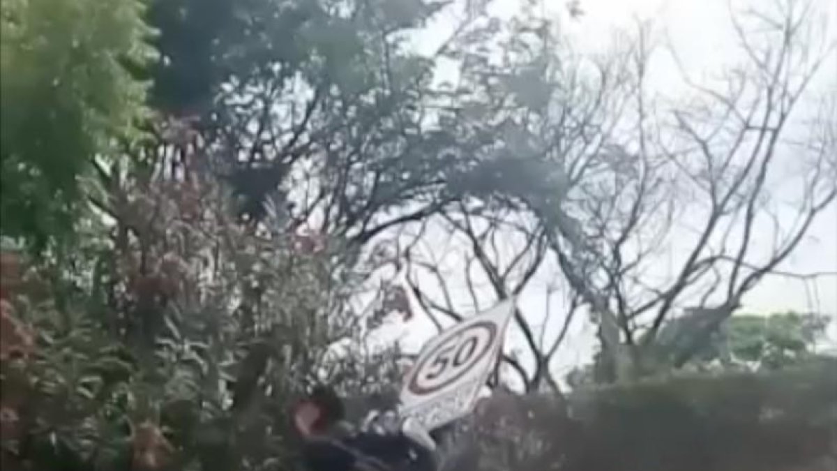 Perjuicio. El hecho se registró en la autopista Narcisa de Jesús.