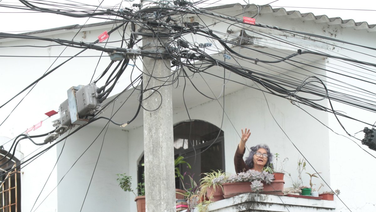 Referencial. En la ciudadela Guayacanes los ‘tallarines’ topan hasta los balcones del sector, lo que genera temor.
