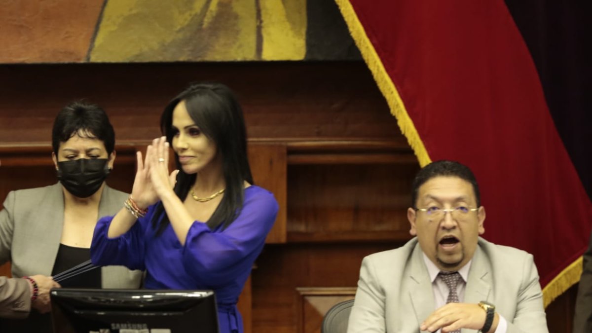Marcela Holguín llegó hasta su curul en la Asamblea Nacional auspiciada por la RC.