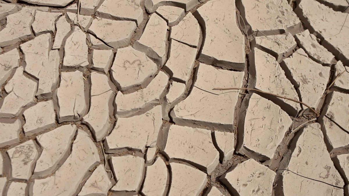 Suelo resquebrajado de un río seco