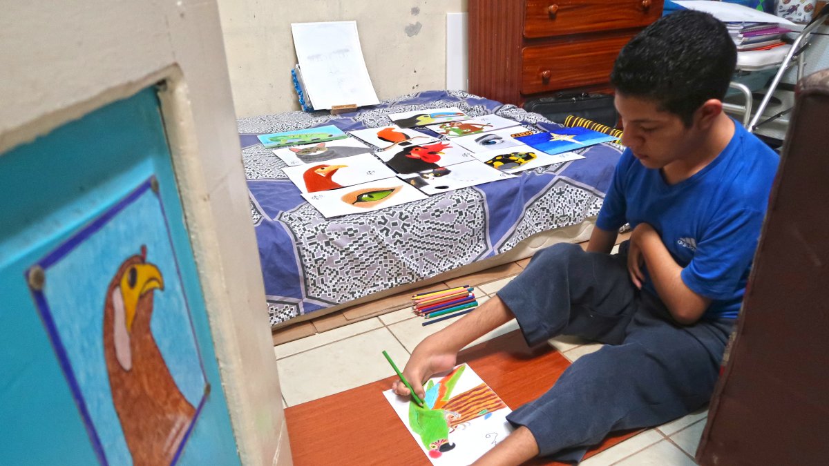 Jeremías Maury pinta el  monumento al papagayo, emblema de la ciudad.