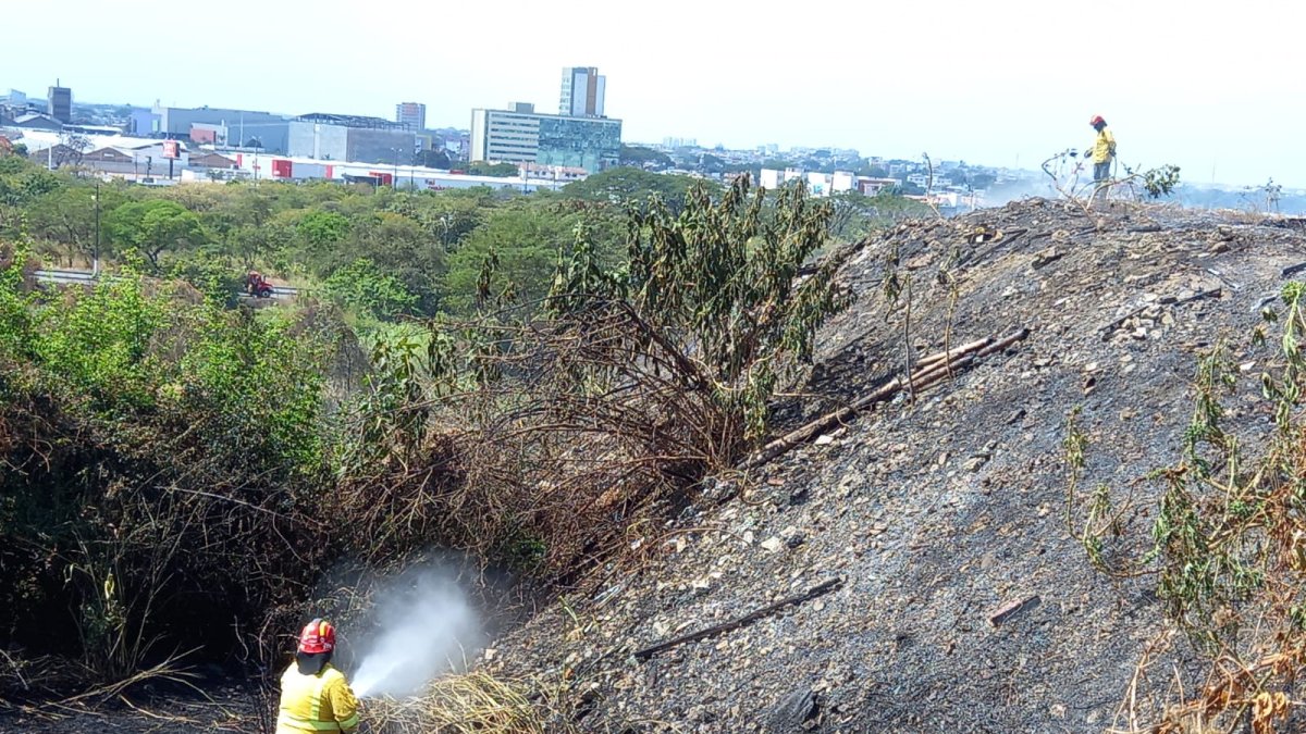 Los bomberos llegaron para controlar el incendio