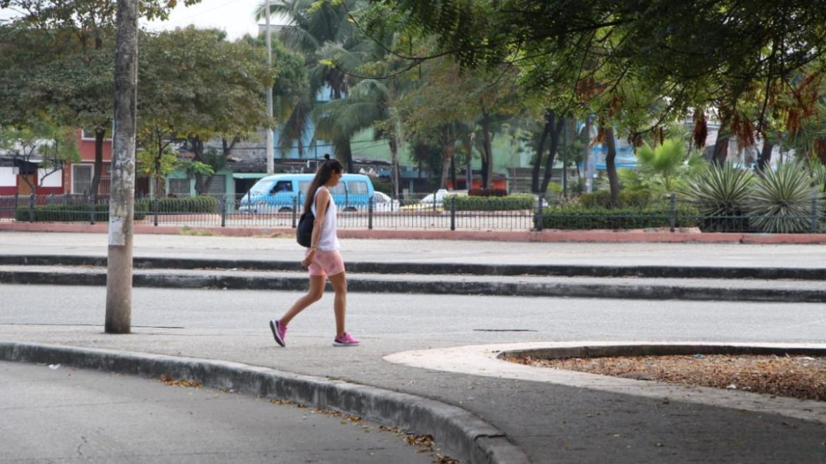 Hallan cuerpo sin vida en una vereda de sauces 9