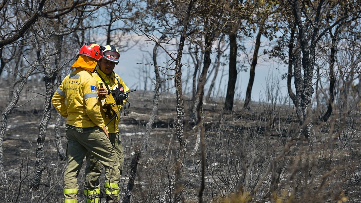 Varios bomberos en la zona afectada por el incendio forestal originado ayer en Humanes (Guadalajara).