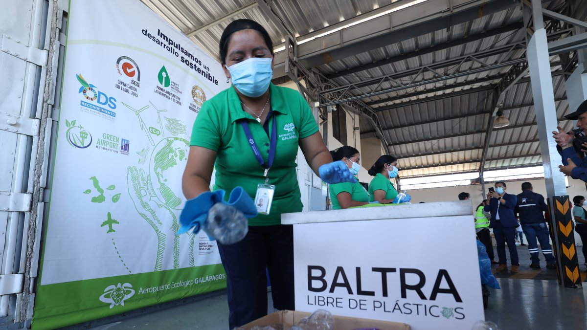 Hecho. Instantes en que las botellas son lavadas.