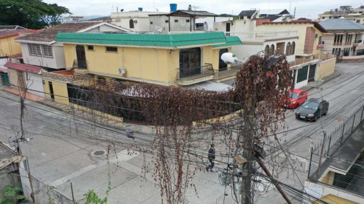 En algunos sectores, el cableado hasta se llena de monte en la parte alta