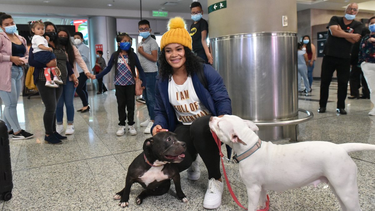 Neisi Dajomes junto a Katana (i) y Tokio (d), sus queridas mascotas.