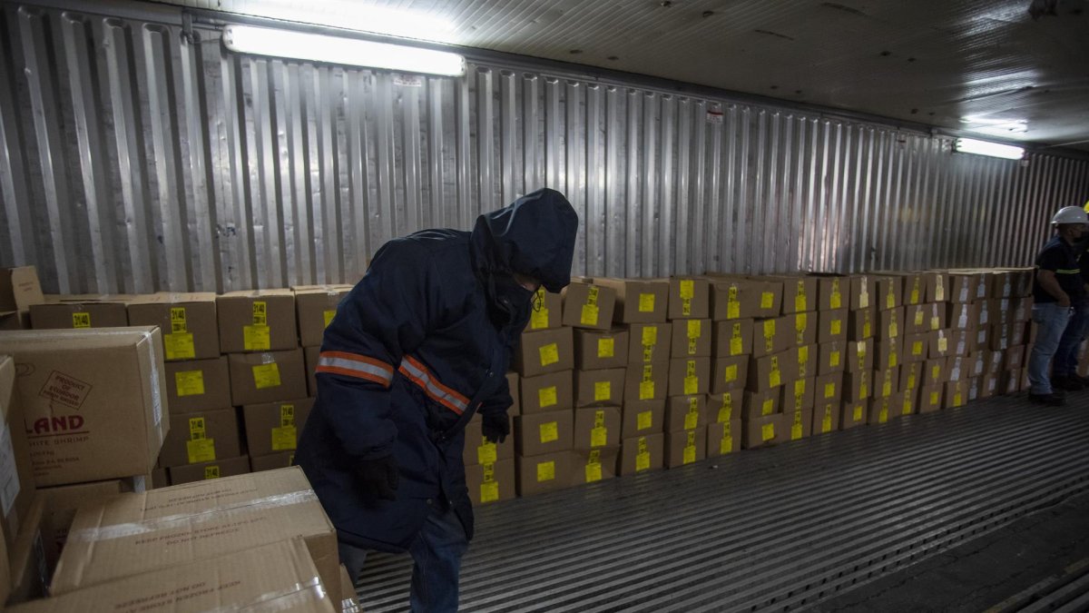 Policías antinarcóticos buscan droga en varios contenedores el 22 de julio de 2022, en el Puerto de Guayaquil, en Guayaquil (Ecuador).