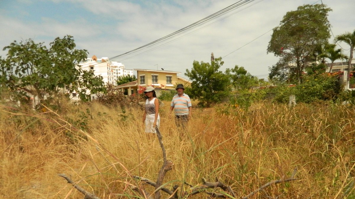 Maleza. Este es el panorama que observan los residentes a diario, desde cualquier rincón de la ciudadela. Hay maleza y palos por todos lados. Ni siquiera la limpieza es suficiente por parte del Cabildo.