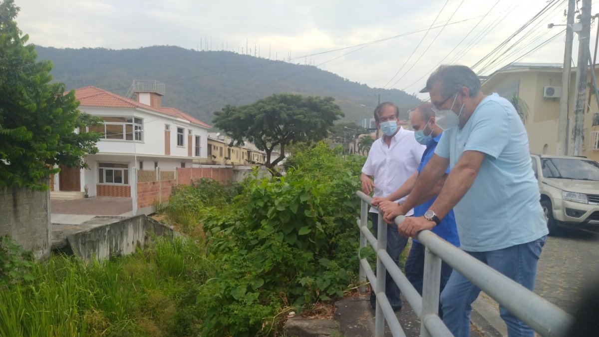 Canal. La maleza allí mide más de 2 metros de altura en ciertos tramos.