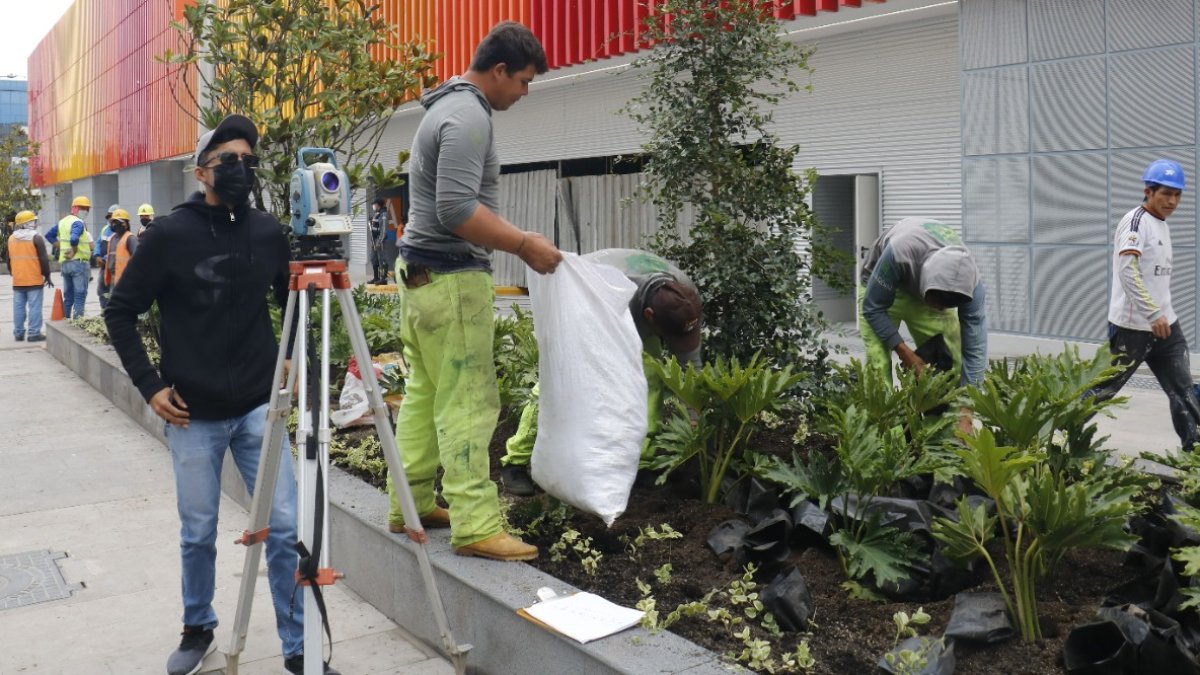 Alrededor del mall, en las calles Isla Pinzón y Tomás de Berlanga se han colocado plantas que han mejorado el ornato del barrio.