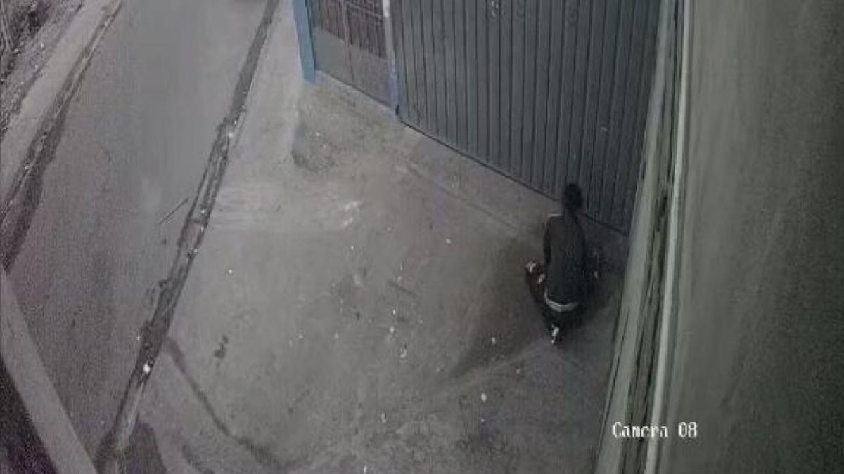 En las cámaras de los habitantes del sector se ve a la persona que, según sospechan, ataca a los felinos..