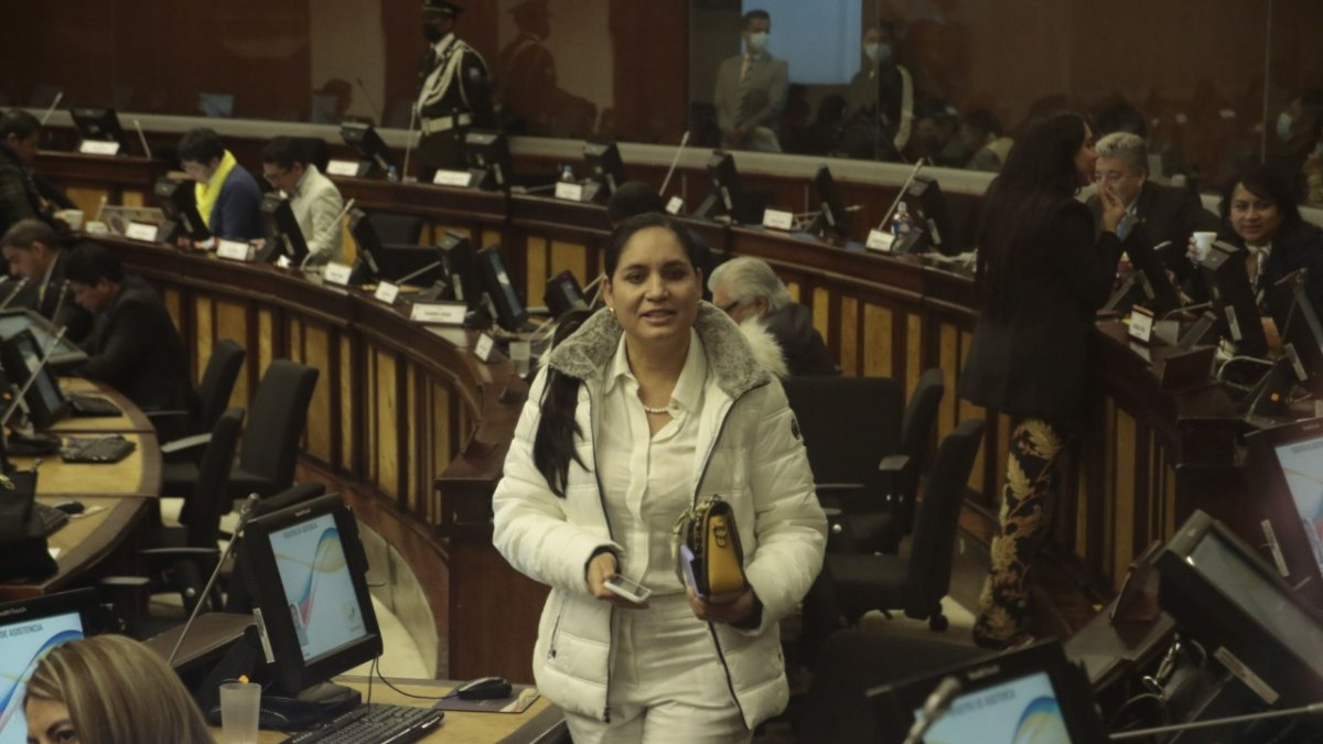 Propuestas. Pazmiño se sumó ayer a los pedidos de comparecencia del consejero Aparicio Caicedo.