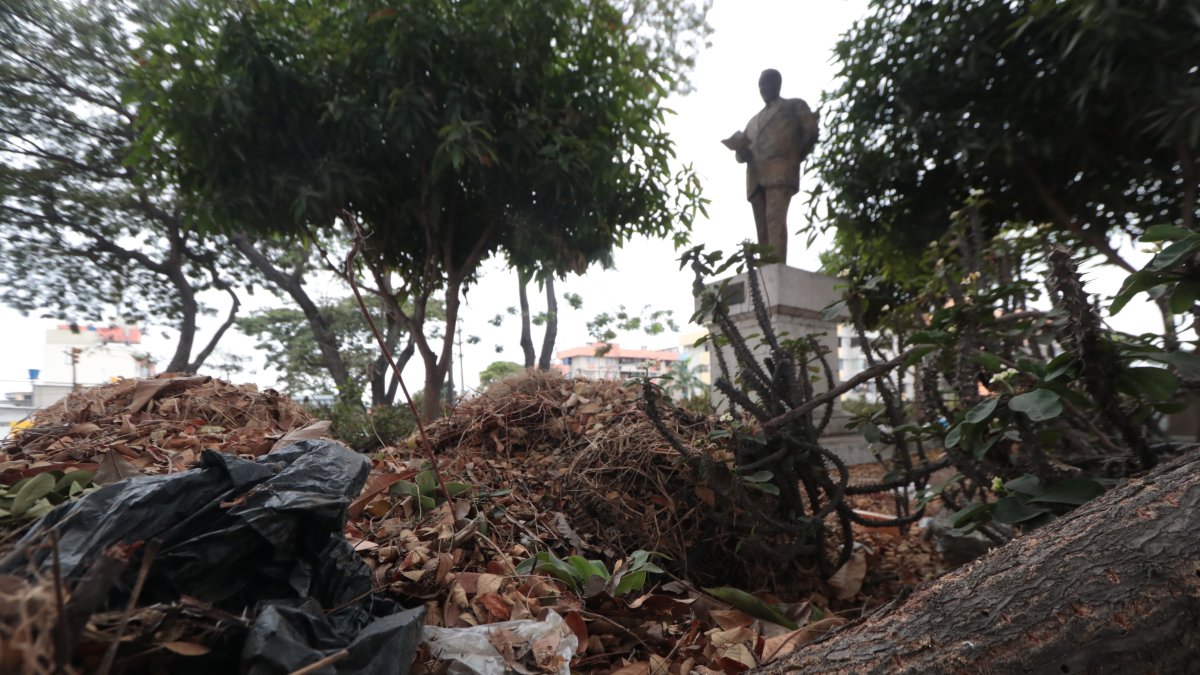 Sucio. Aunque cruzar al redondel donde está la estatua al Dr. Pío Jaramillo es complicado, acumula mucha basura.