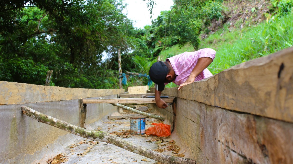 Elaboración. Lo primero es saber seleccionar la madera adecuada. Luego el armado puede tomar un par de semanas. 