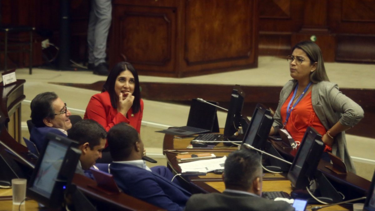 Asamblea. Todos los legisladores correístas, junto con los socialcristianos y una parte de Pachakutik fueron los que posesionaron a Raúl González.