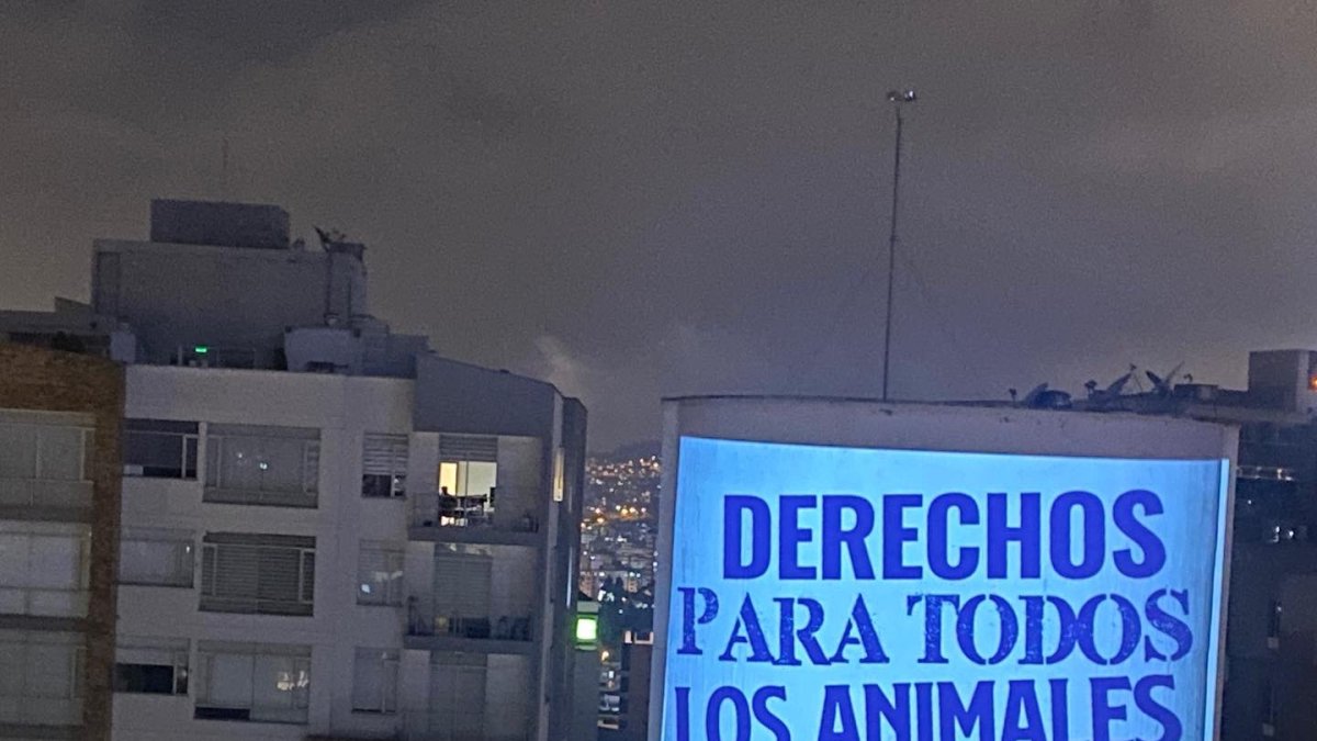 Los activistas animalistas realizaron una vigilia durante la noche del jueves 18 de agosto previo a la entrega del proyecto de ley