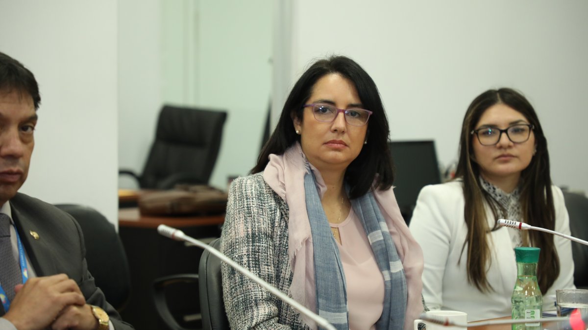 Comparecencia. Carola Ríos, directora del Senae, rindió su testimonio en la Comisión de Fiscalización el pasado 27 de julio. Ahora le toca volver.