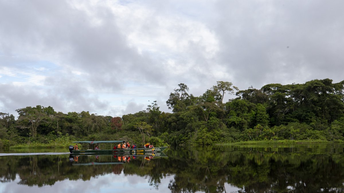 Personas son vistas sobre la Laguna Grande de Cuyabeno en el Parque Nacional Yasuní, en una fotografía de archivo.