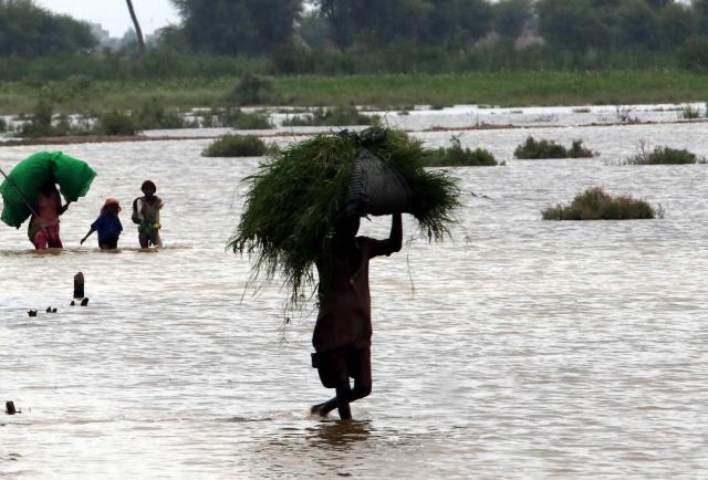 Las Inundaciones En Pakistán Dejan Más De 800 Muertos Y Millones De