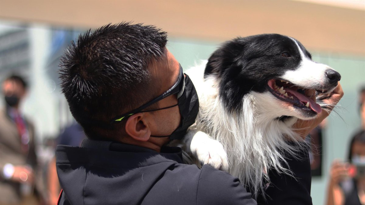 El entrenador de perros Edgar Martínez, abraza a su mascota Orly durante una manifestación contra el maltrato animal hoy, en estado de Querétaro (México).