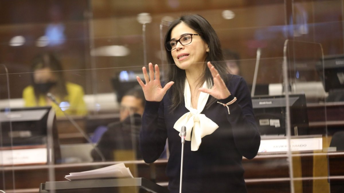 Unitextual. La legisladora correísta Esther Cuesta tiene un PhD en Literatura Comparada, pero no está familiarizada con los usos del lenguaje.