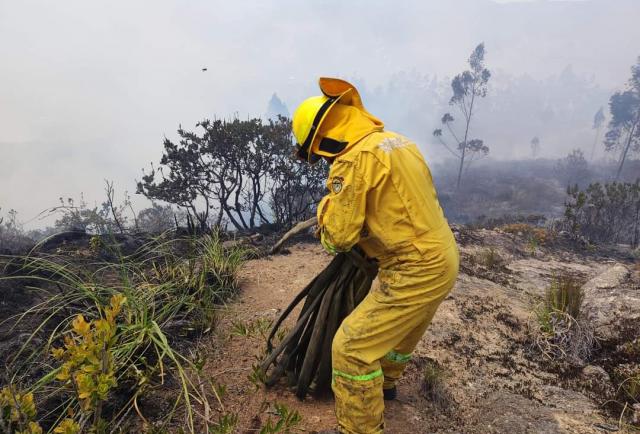 Dos Incendios Afectaron 85 Hectáreas De Bosque En Azuay Y Bolívar