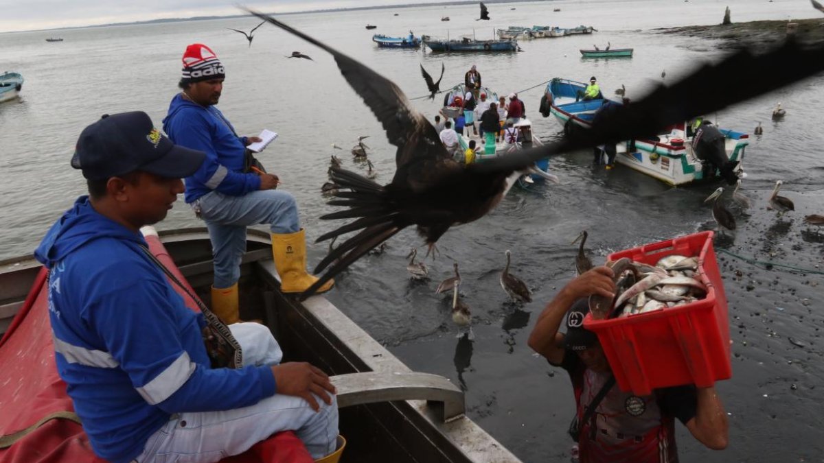 Referencia. La principal actividad económica de Posorja, una de las cinco parroquias rurales de Guayaquil, es la pesca