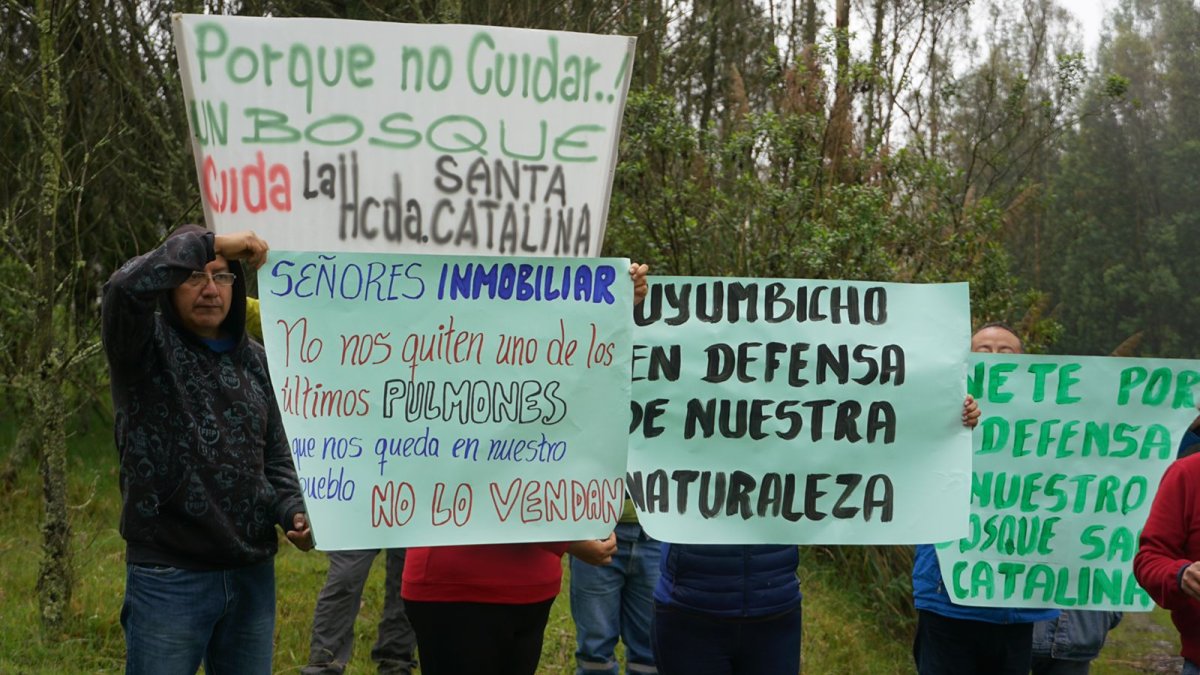 El Bosque Protector Santa Catalina está ubicado en el cantón Mejía.